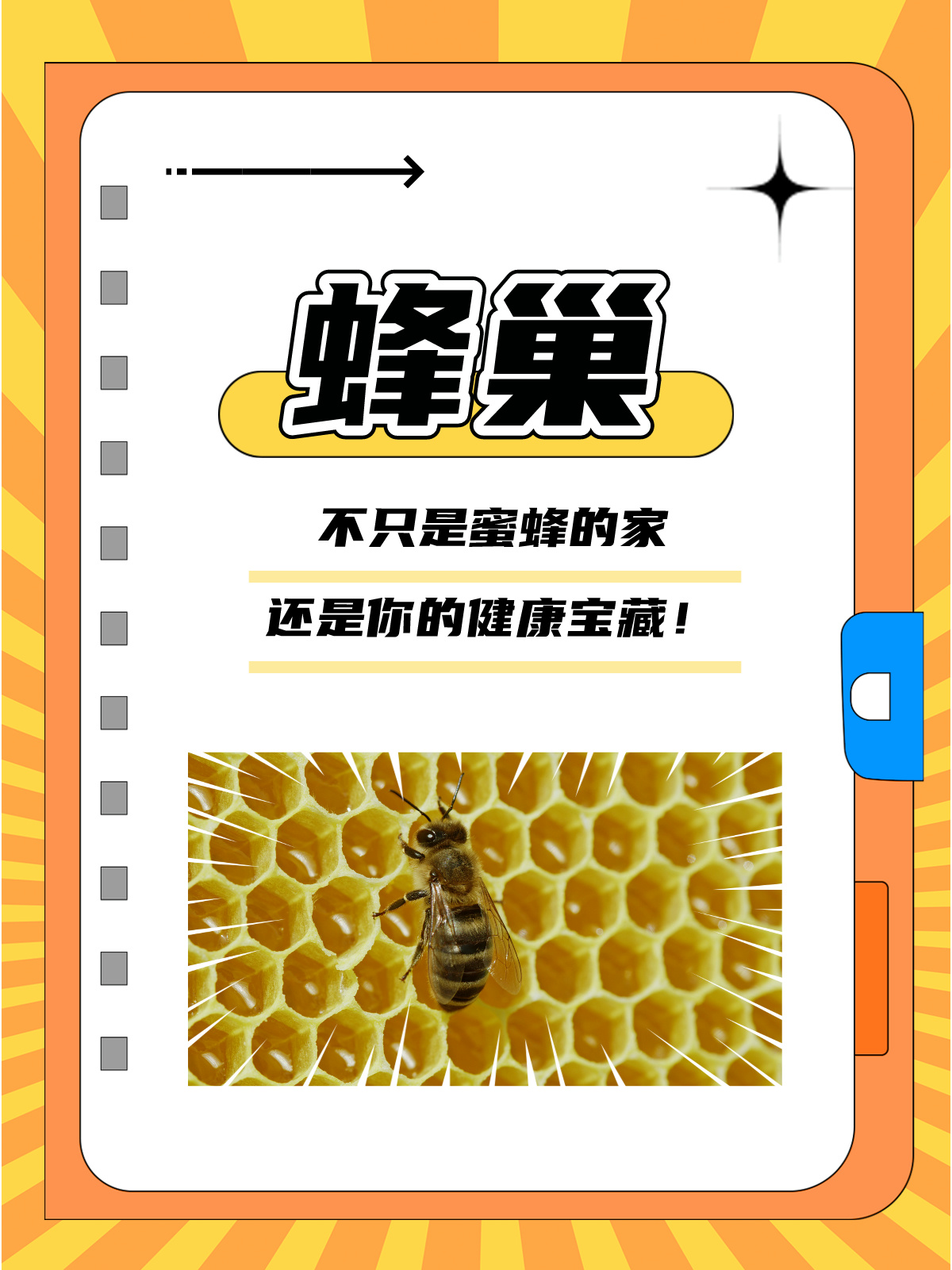 蜜芽737mon忘忧草老狼大豆——探索自然界的奇妙宝藏-第2张图片