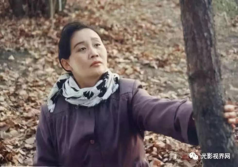 晚秋影院电视剧在线观看免费资源晚秋的诗意与Qvod的魅力-第2张图片