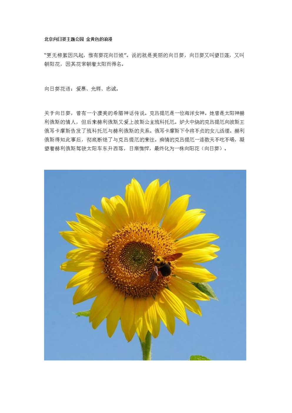 探索向日葵APP，在线观看网址的便捷与魅力