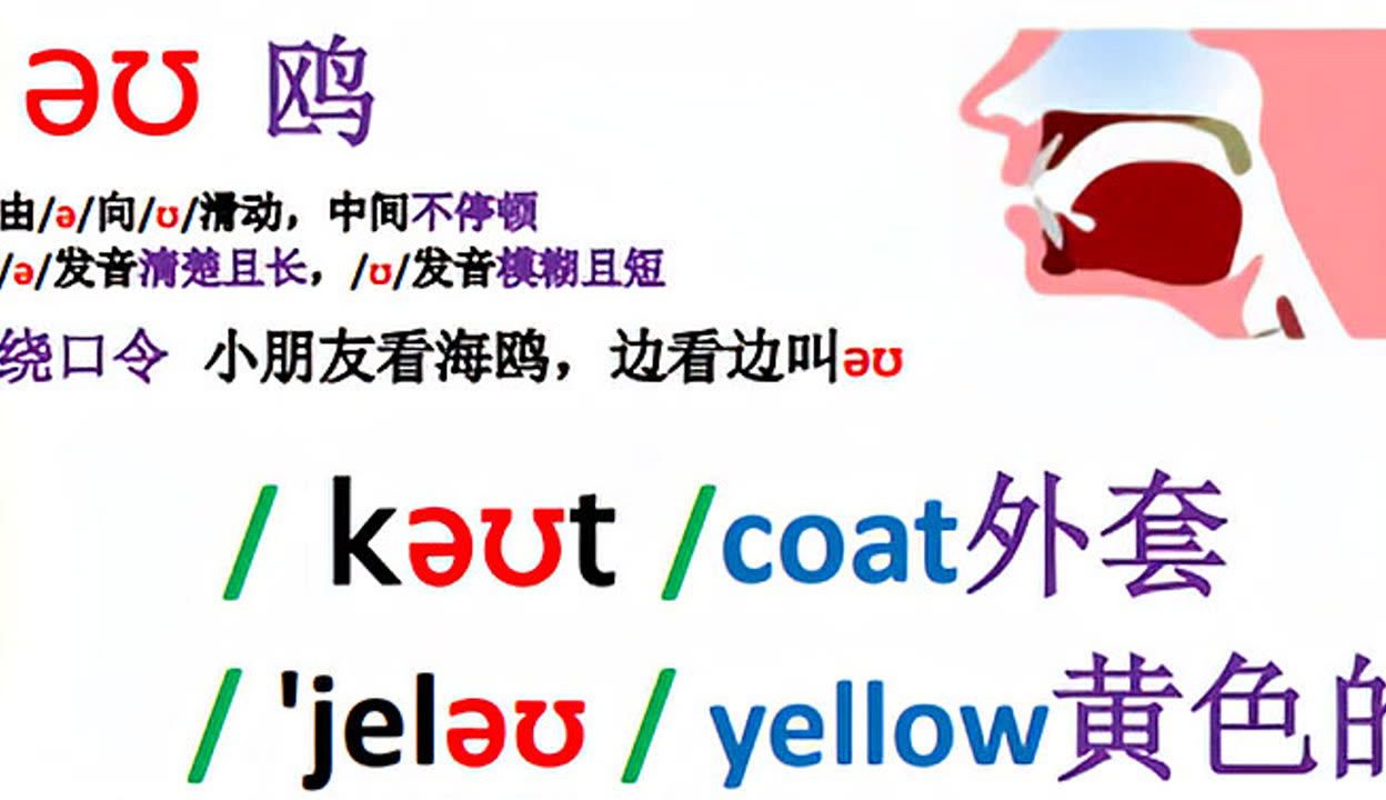 探索yellow字幕网与中文字幕的魅力