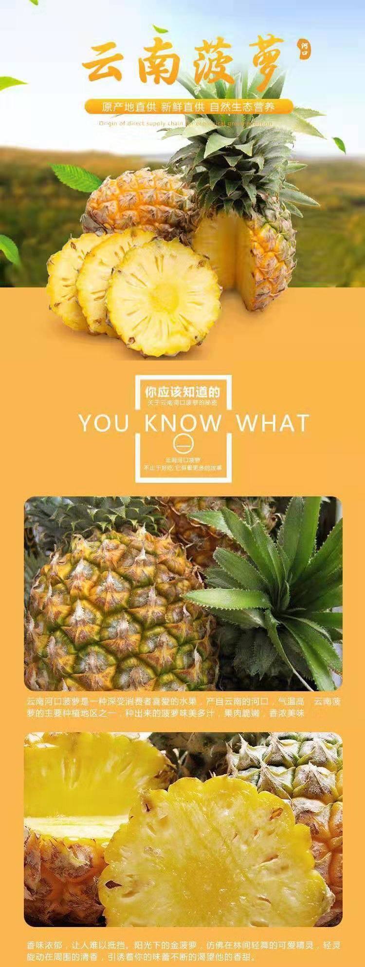 大菠萝福建导航页面探索大菠萝导航，福建网站进入入口的便捷之旅-第2张图片