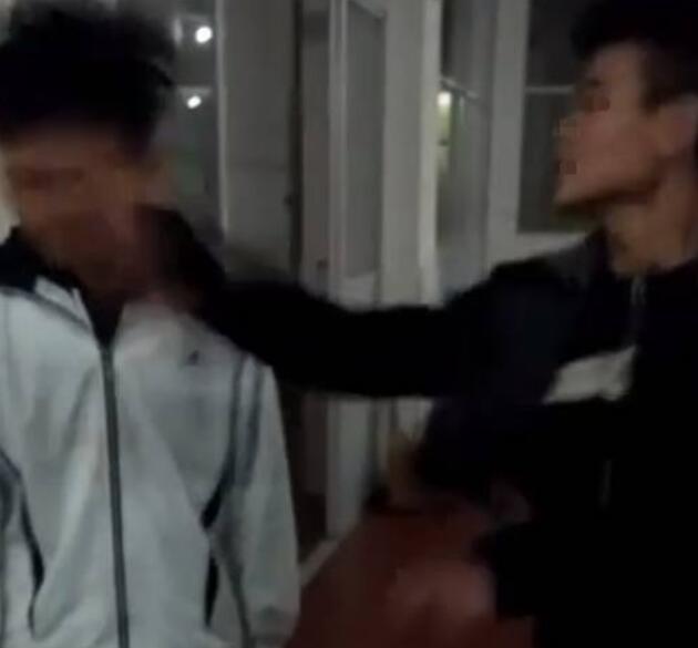 视频啪啪免费观看，探索网络视频的无限魅力-第2张图片