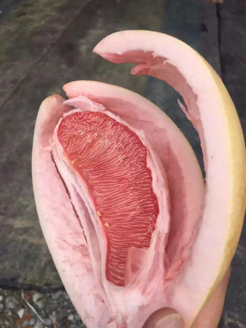 蜜柚AV久久久久久久蜜柚AV的探索与解析-第2张图片