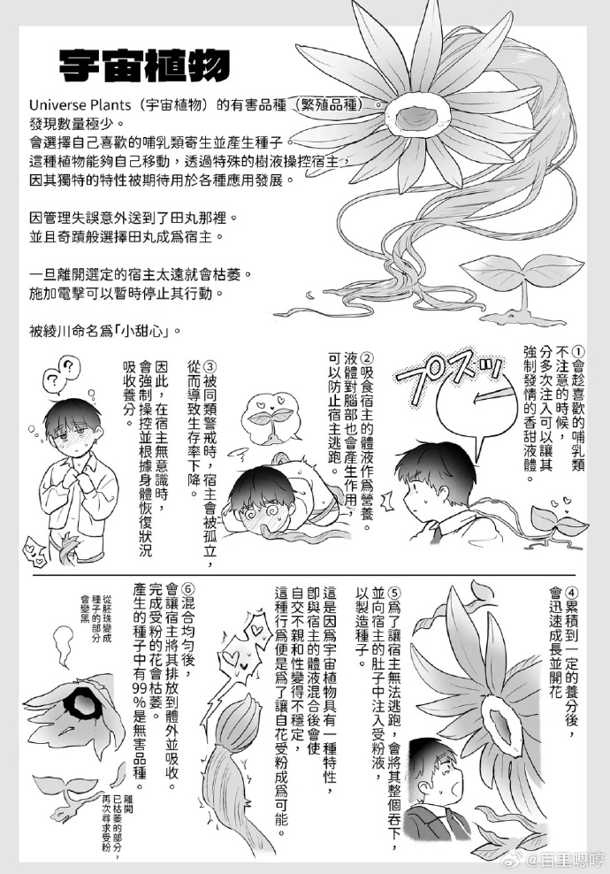 动漫文化中的界限探讨，关于动漫触手禁图的深度解析