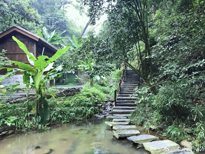 少妇与桃花源的邂逅-第3张图片