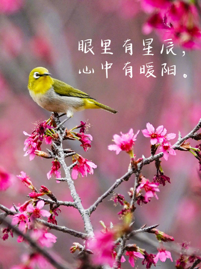 春暖花开有你相伴的说说春暖花开，吧有你