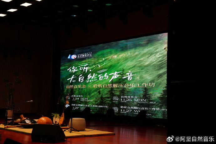 仙踪林中的RAP之声，探索音乐与自然之直接入口-第2张图片
