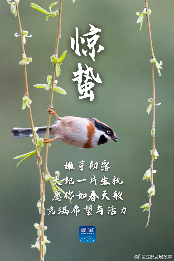 春雨惊蛰下的双人游戏-第2张图片