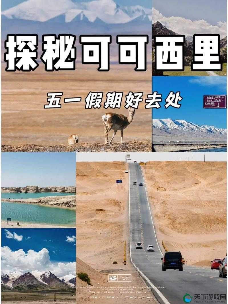 免费无人区码卡二卡3卡网站双插免费无人区码卡二卡3卡网站双插的探索与解析-第2张图片