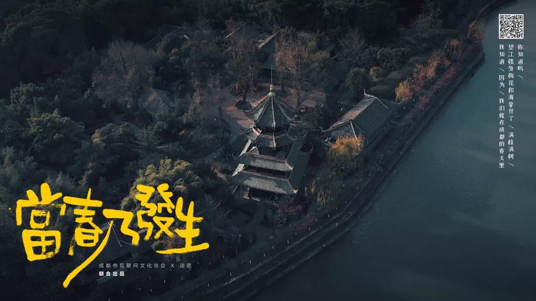 成都免费看电影，探索城市文化的新方式-第3张图片