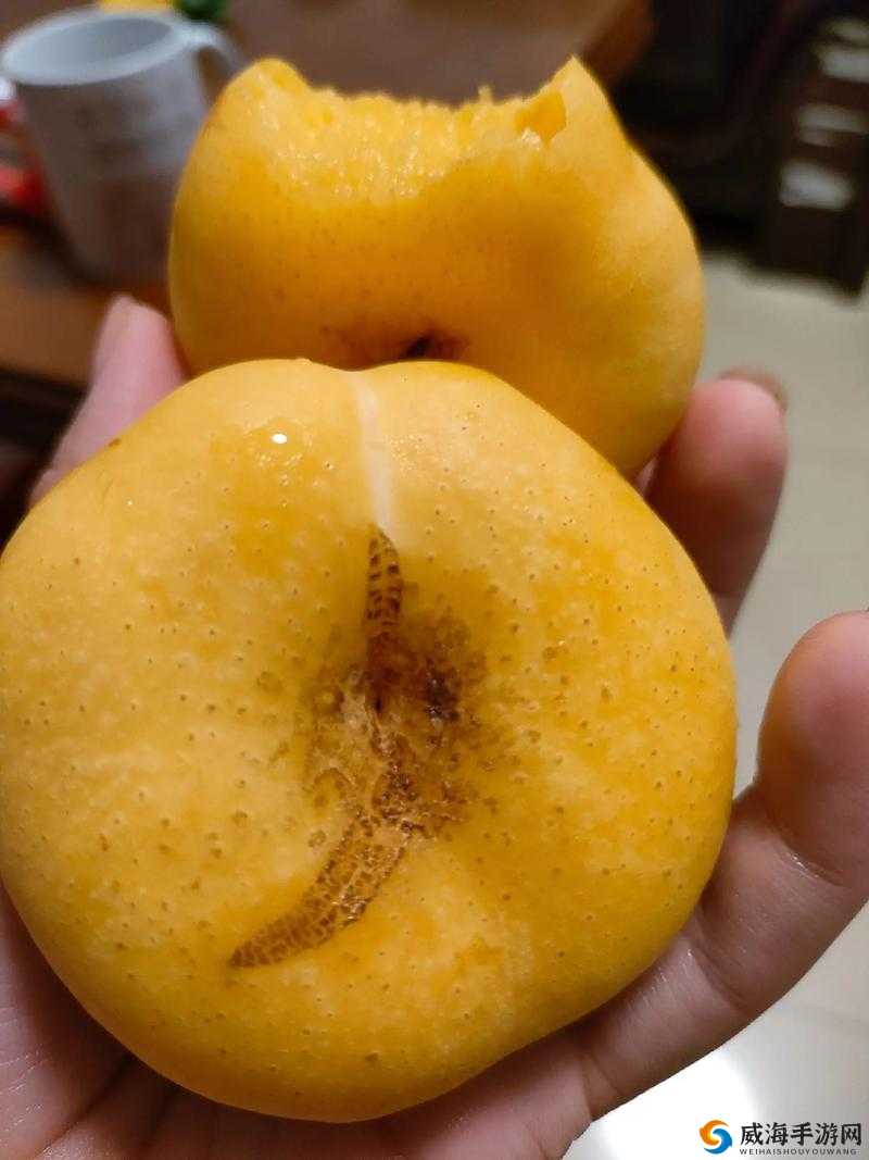 桃子视频在线播放www探索桃子视频在线播放的魅力