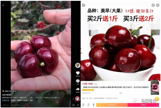 探索樱桃视频app的魅力世界-第3张图片