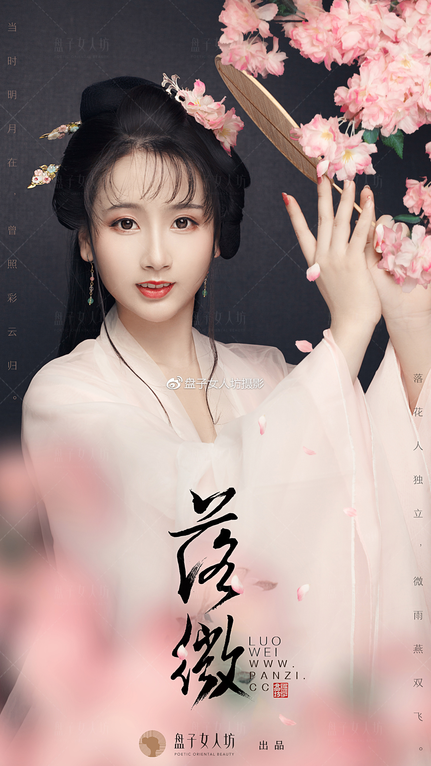 盘子影视，探索影视艺术的无限可能-第2张图片