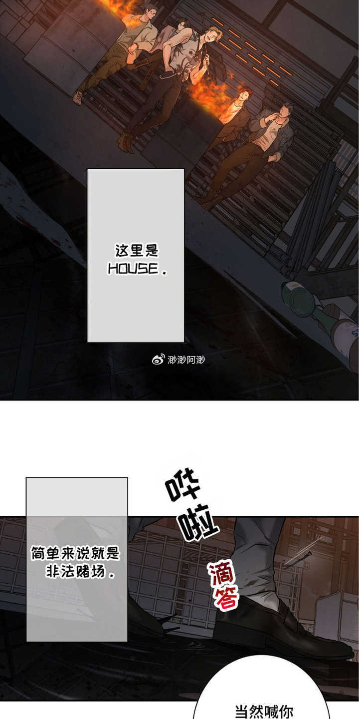 樱花动漫成人隐藏入口在线观看探索樱花动漫成人隐藏入口，深度解析与注意事项-第2张图片