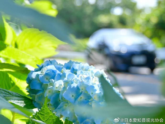 日本一卡二卡三卡四卡无卡支付方式解析