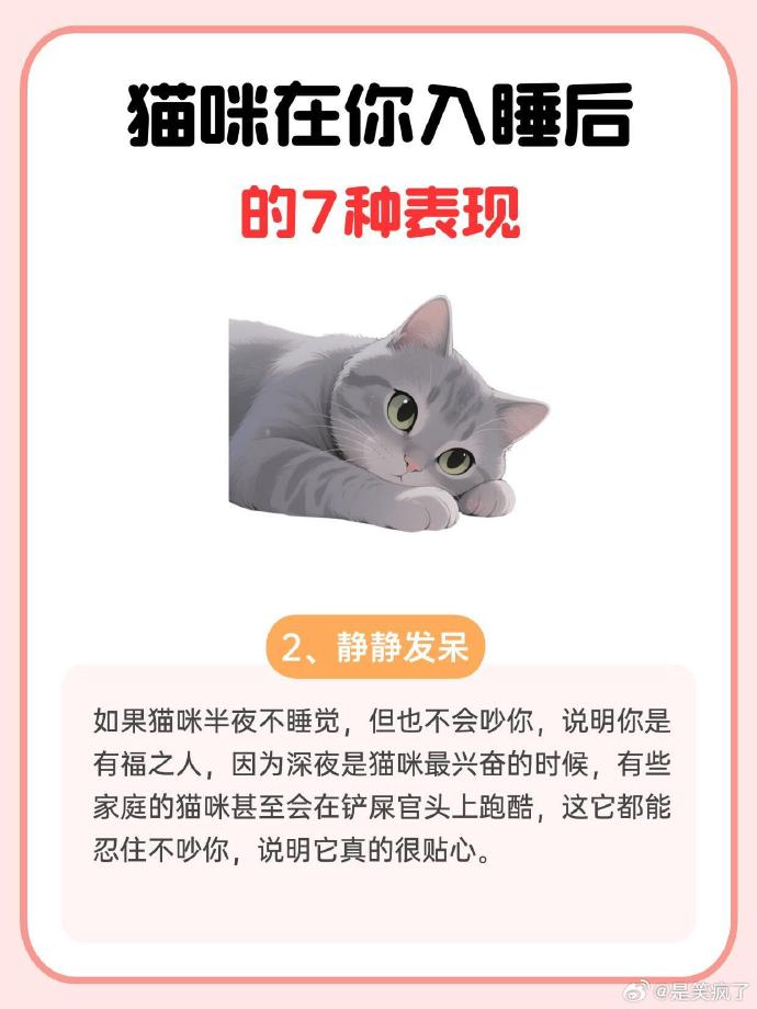 带着跳d入睡的奇妙体验