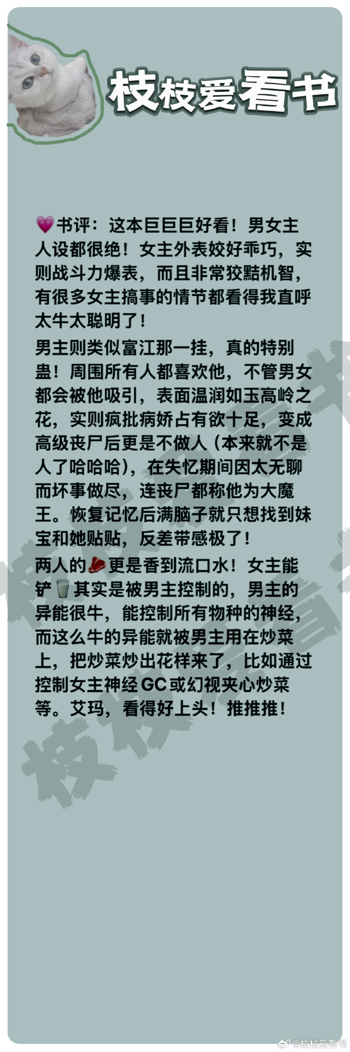 长篇篇乱系列小说合集，探寻人性的多元与生活的多彩
