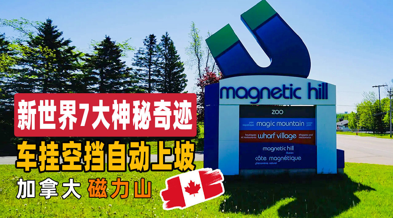 BT种子磁力天堂BT种子磁力天堂，探索网络资源的新世界