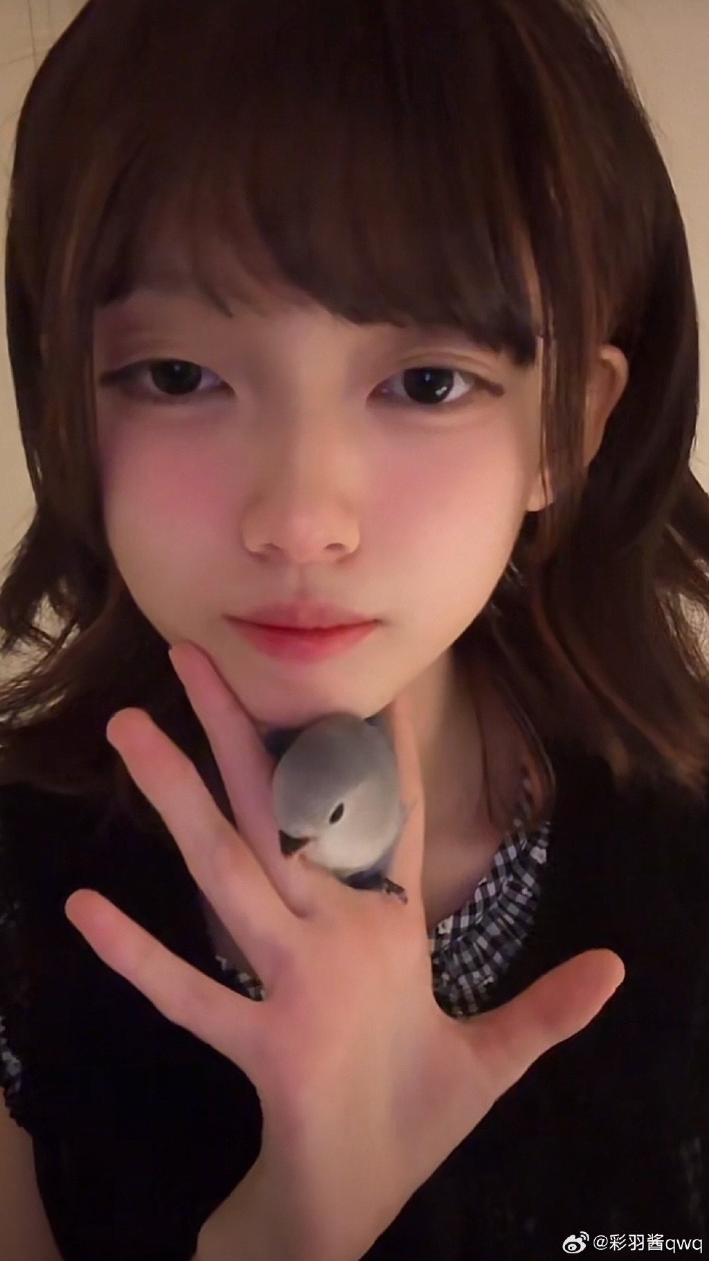 myotee脸萌我的独特魅力——探索myotee脸萌的魅力世界
