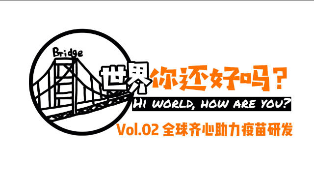 十大黄冈网站排行榜十大黄冈网站排行榜，探索网络世界的无限可能-第2张图片