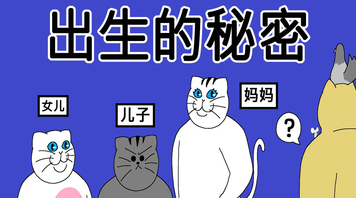 午夜刺激黄瓜西瓜葡萄榴莲游戏女儿的朋友午夜游戏，黄瓜、西瓜、葡萄与榴莲的奇妙冒险