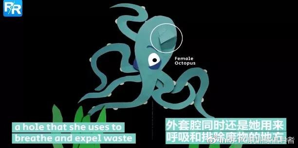 家族内性爱，一种扭曲的家族关系-第3张图片