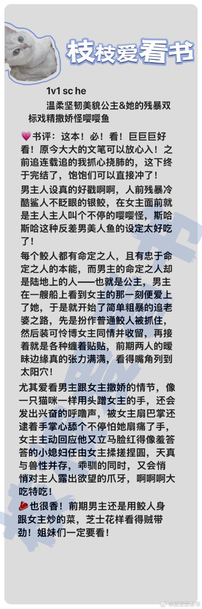 污肉污小说污肉污小说，探讨其影响与应对策略-第2张图片
