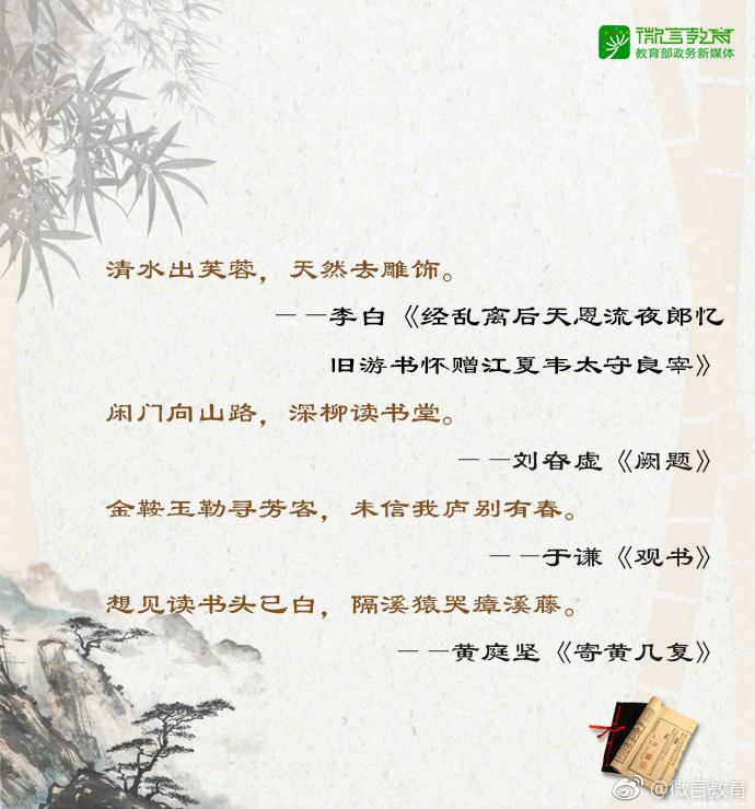 当书网手机当书网手机，阅读与科技的完美结合-第2张图片