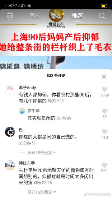 探索永久YE8.8的魅力与价值