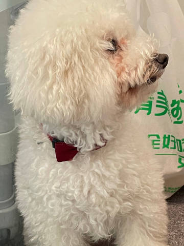 俄罗斯的独特节奏，WOOWOOWOO的魅力