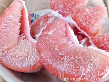 蜜柚app免费下载官方蜜柚app免费下载官方，体验新时代的智能生活