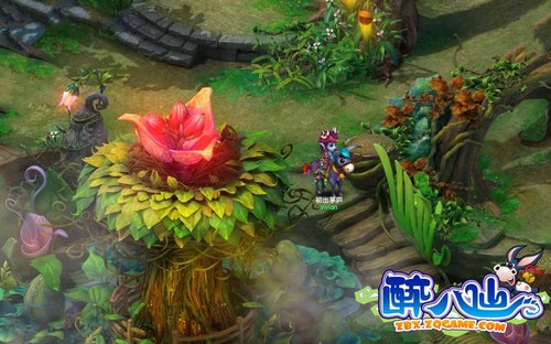 醉八仙手游攻略醉八仙新手卡，游戏之旅的启航指南