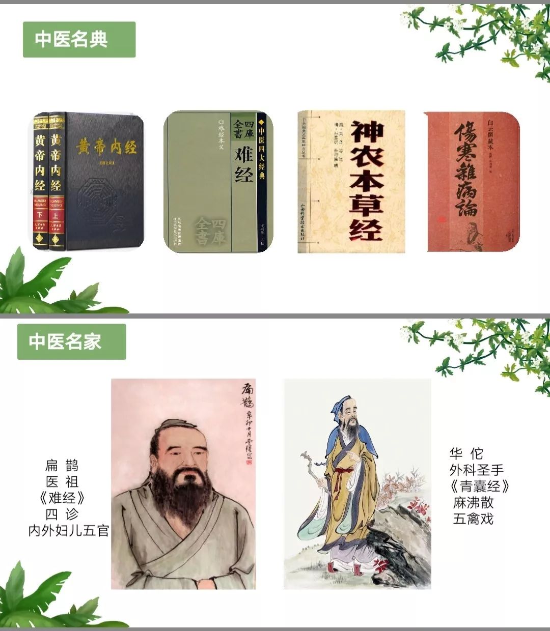 五果一菜的奇妙之旅-第2张图片