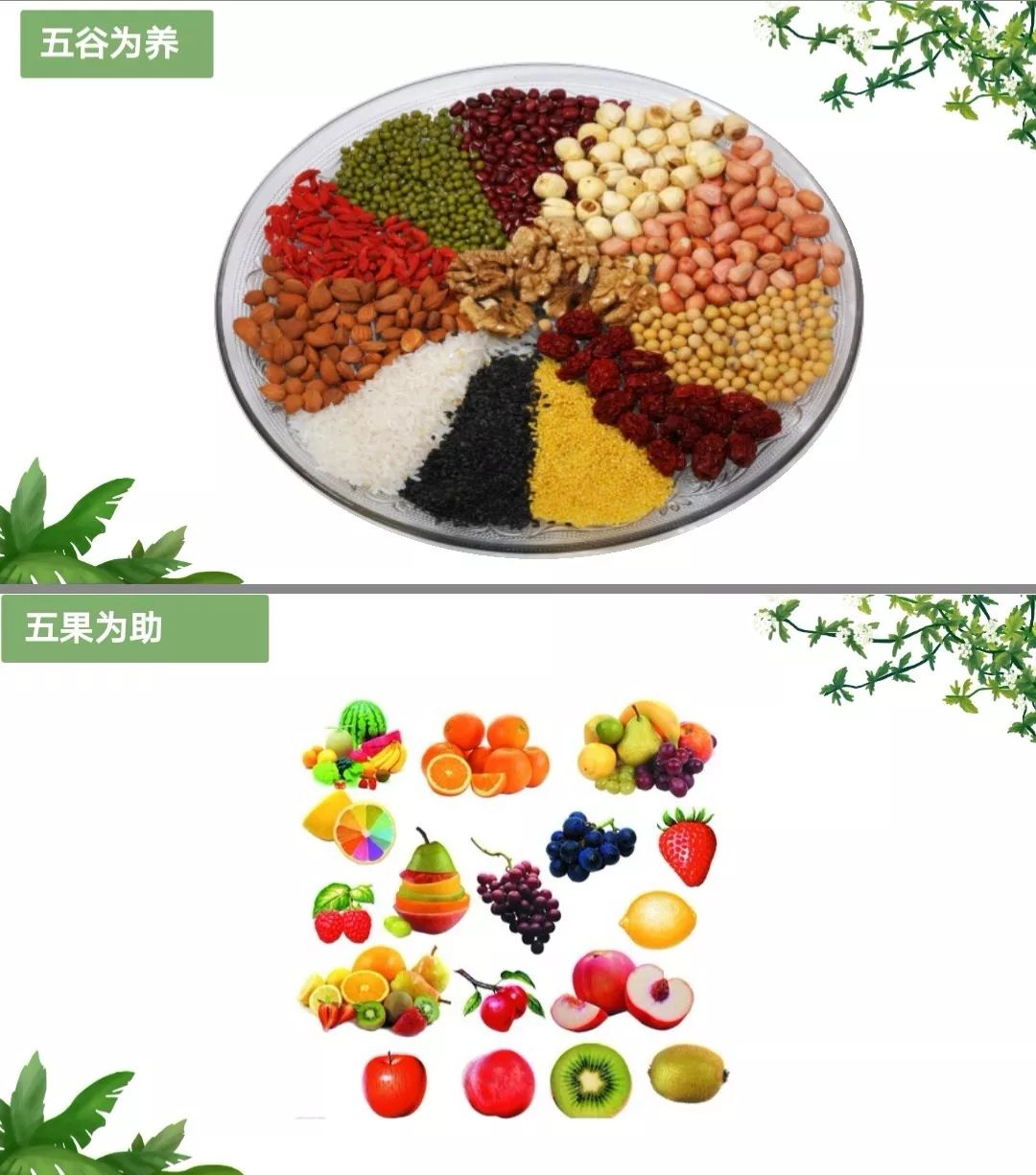 五果一菜的奇妙之旅