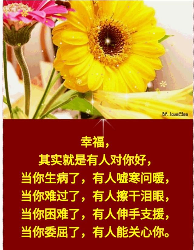 爽妇网7，探索现代女性健康与幸福的新天地