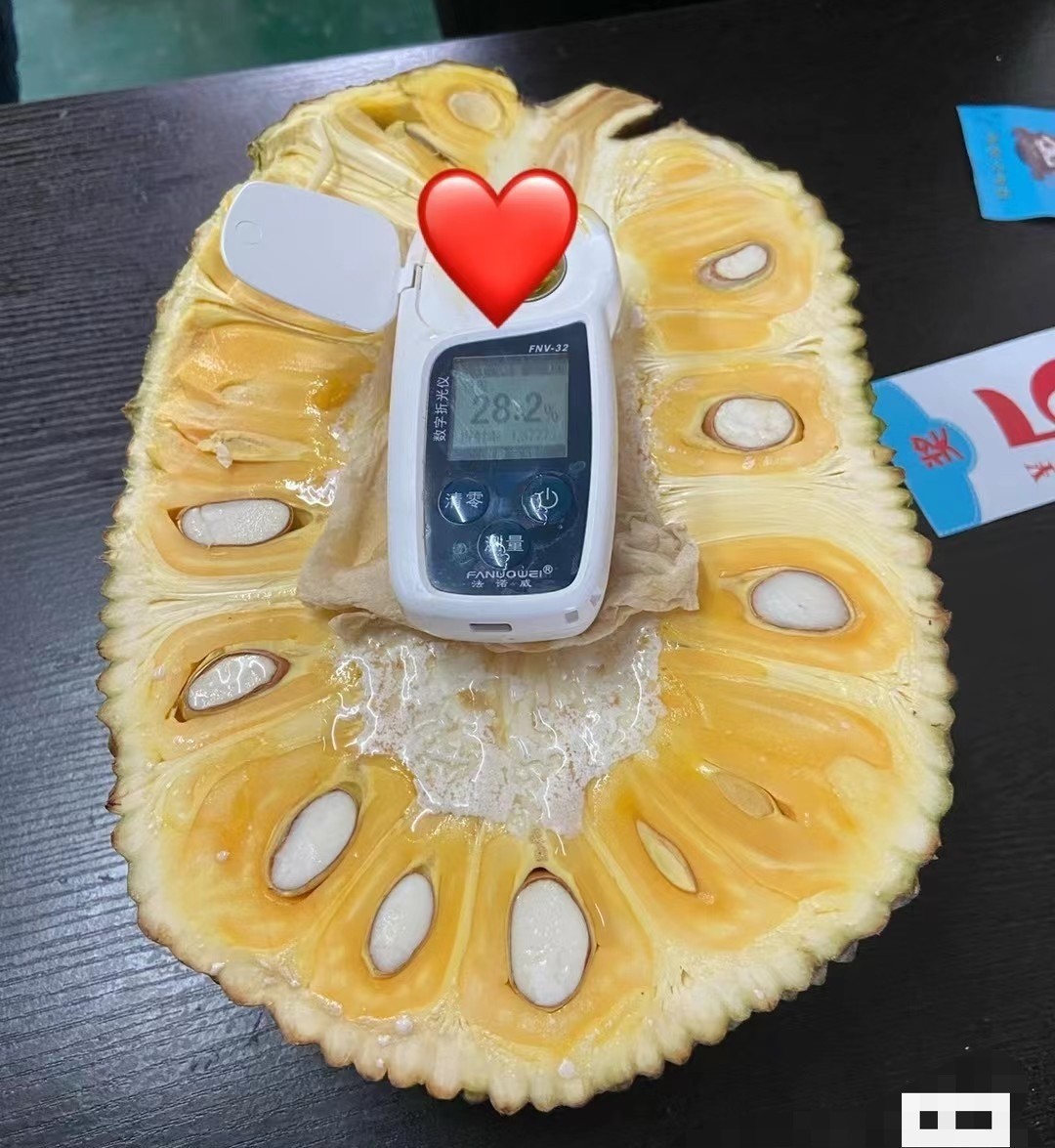 菠萝菠萝蜜视频-免费观看3菠萝菠萝蜜视频，免费观看的乐趣与体验