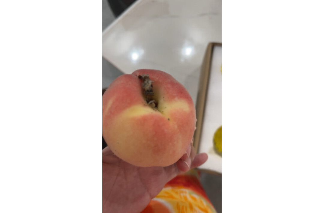 美丽的小水蜜桃-第1张图片