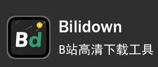 B站视频下载全攻略，轻松获取你喜爱的内容-第3张图片