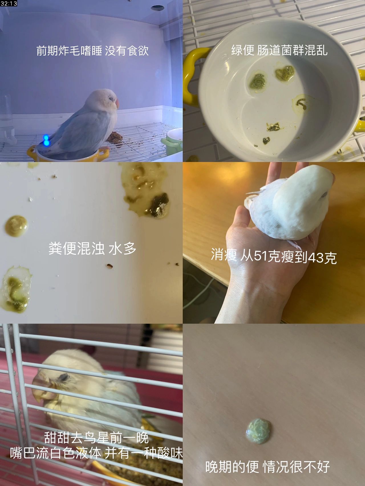 雏鸟幼儿小学生张婉莹雏鸟成长记——张婉莹的校园生活-第3张图片
