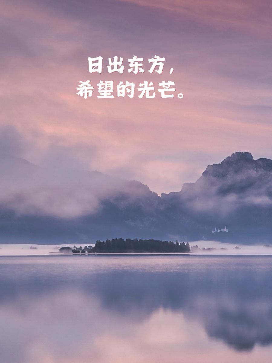 忘忧草51dado忘忧草51DADOU，寻找心灵的宁静-第1张图片