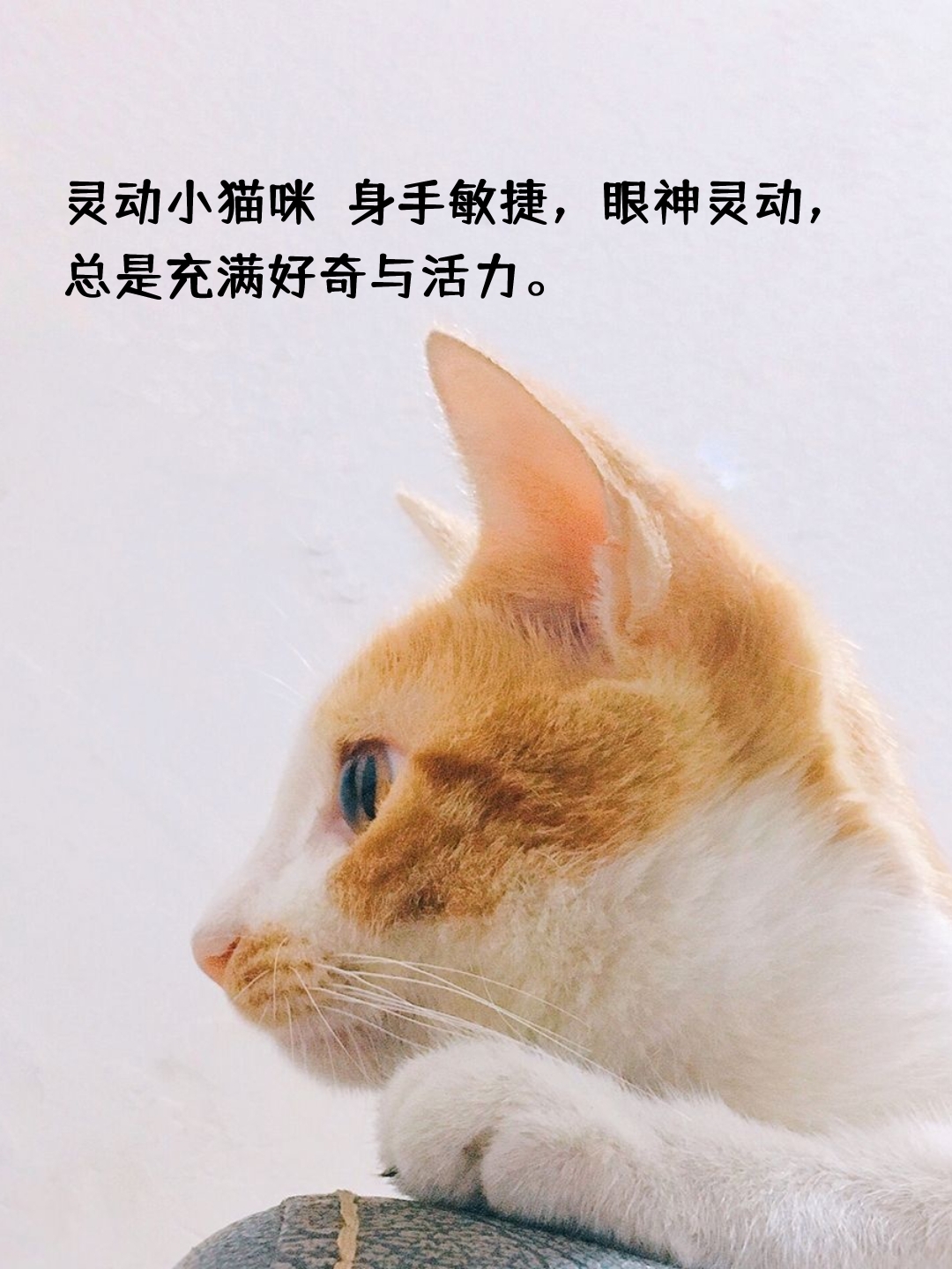 9uu的新网名是什么百度贴吧9UU永久地域网名，2022年知乎探索与解析-第3张图片