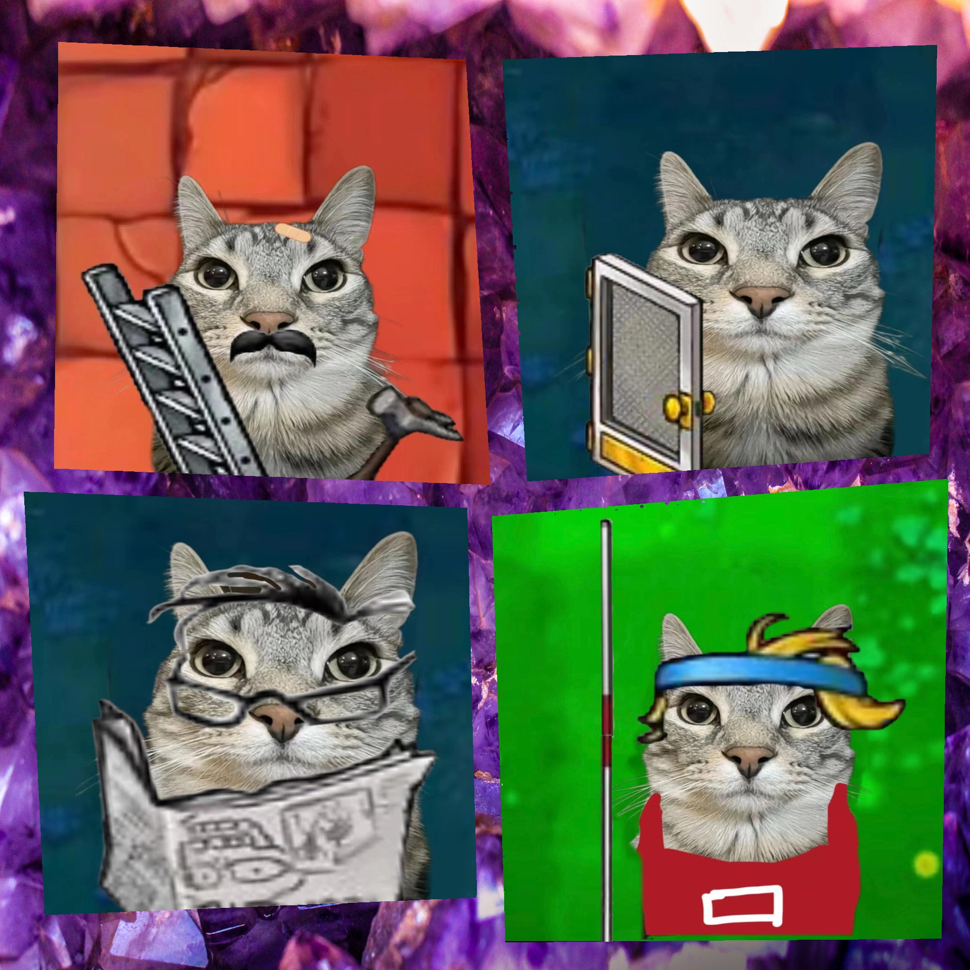 猫射手装备猫射手的神秘装备