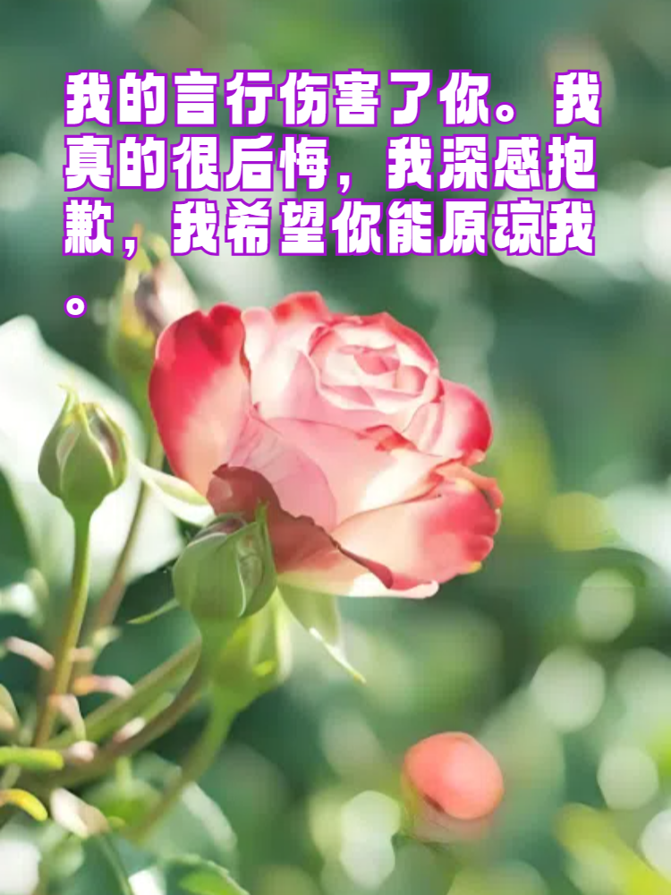 主人我错了全文免费阅读角色介绍与真诚道歉