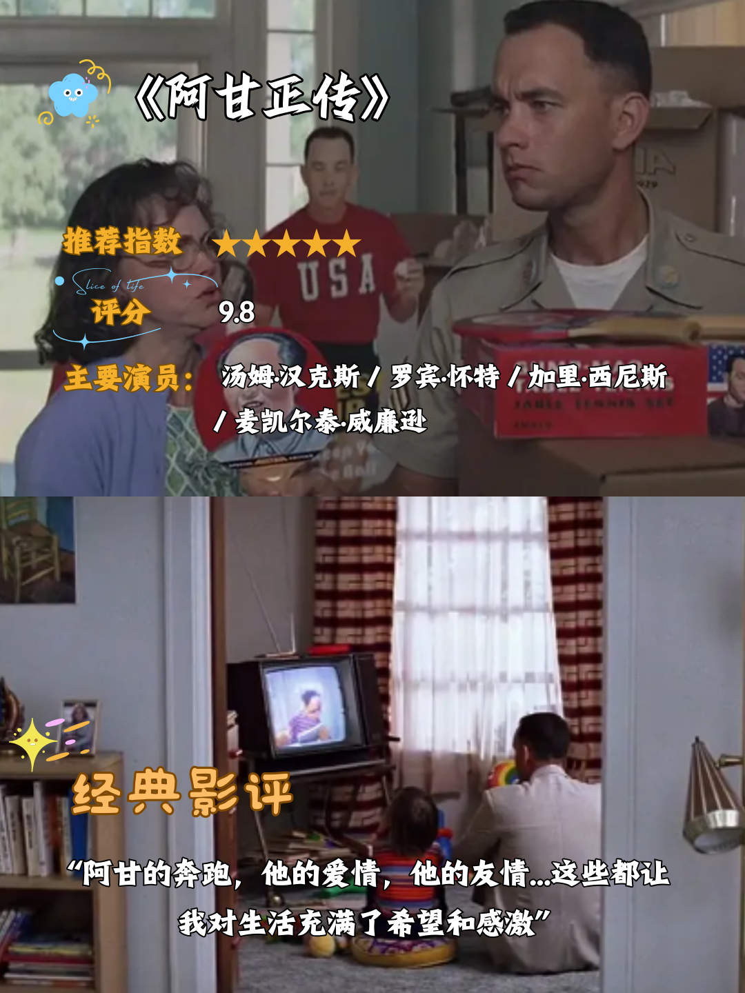 法国满天星《八尺夫人》法国满天星下的八尺夫人-第2张图片