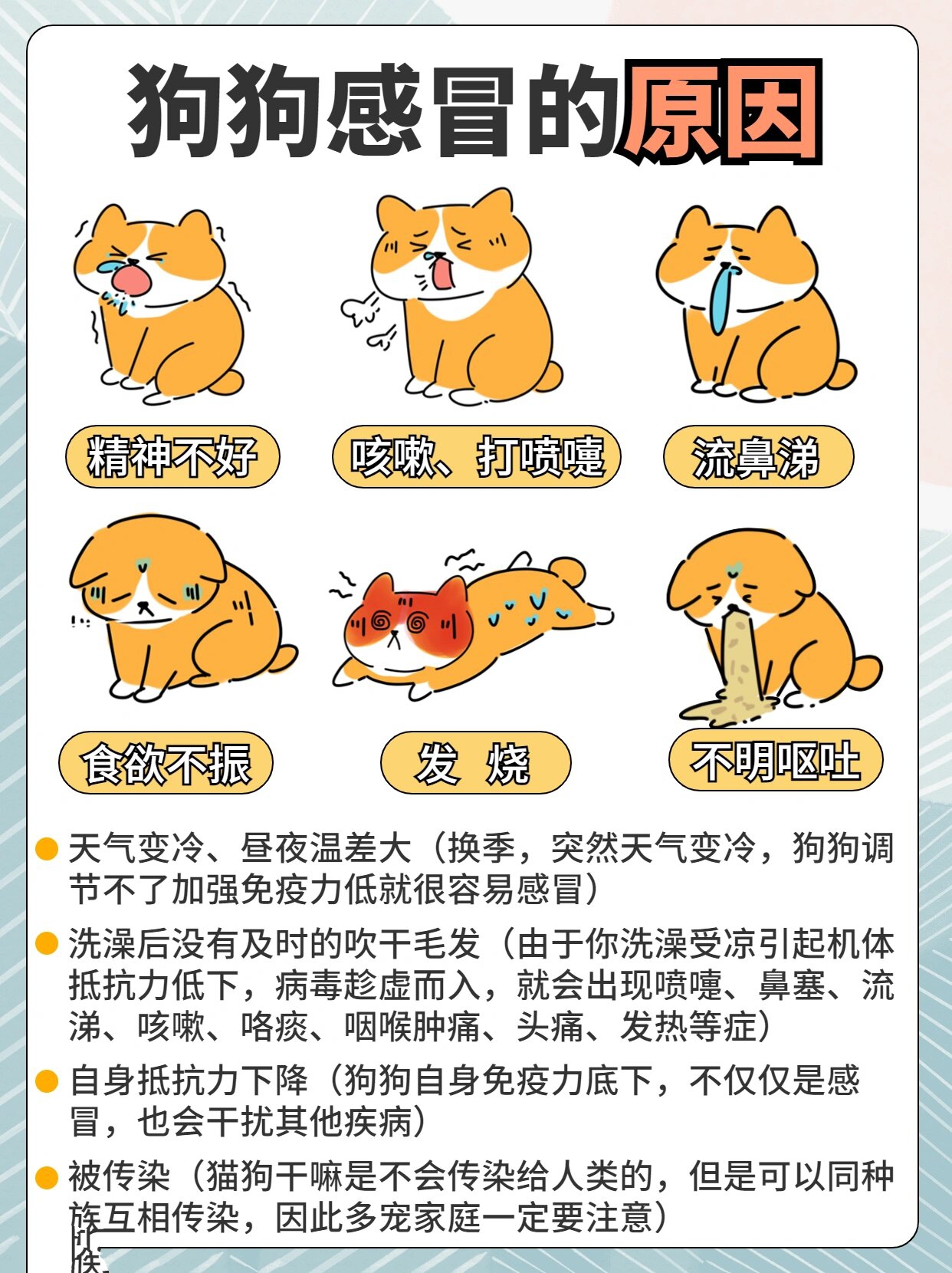 狗狗的东西卡在我里面了怎么办狗狗误入物品的应急处理