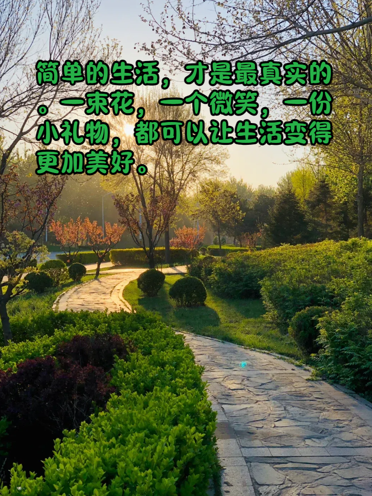 可以真正约的平台真正可靠的约会平台——让每一次相遇都变得简单而真实