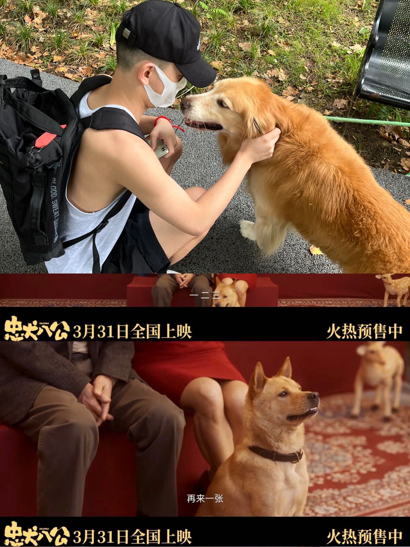老公不在和家里的狗玩老公不在，家有忠犬相伴的日子