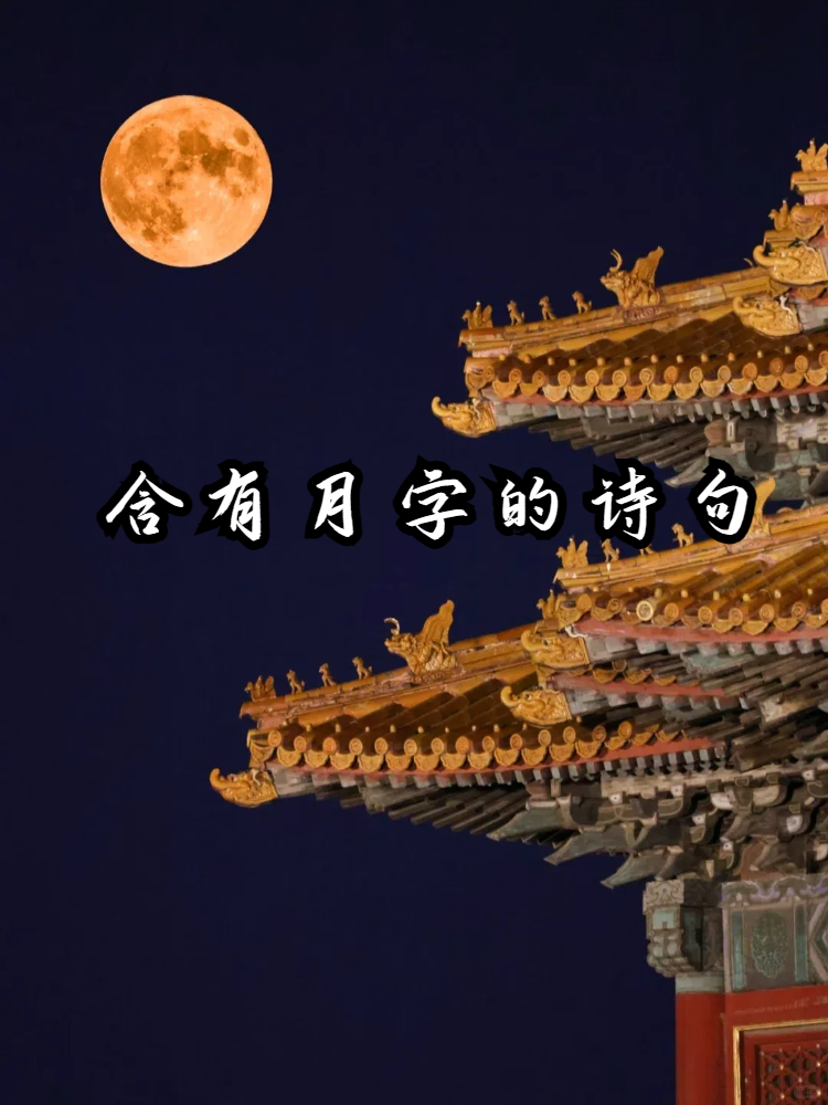 仙语仙语，神秘而深邃的诗意语言