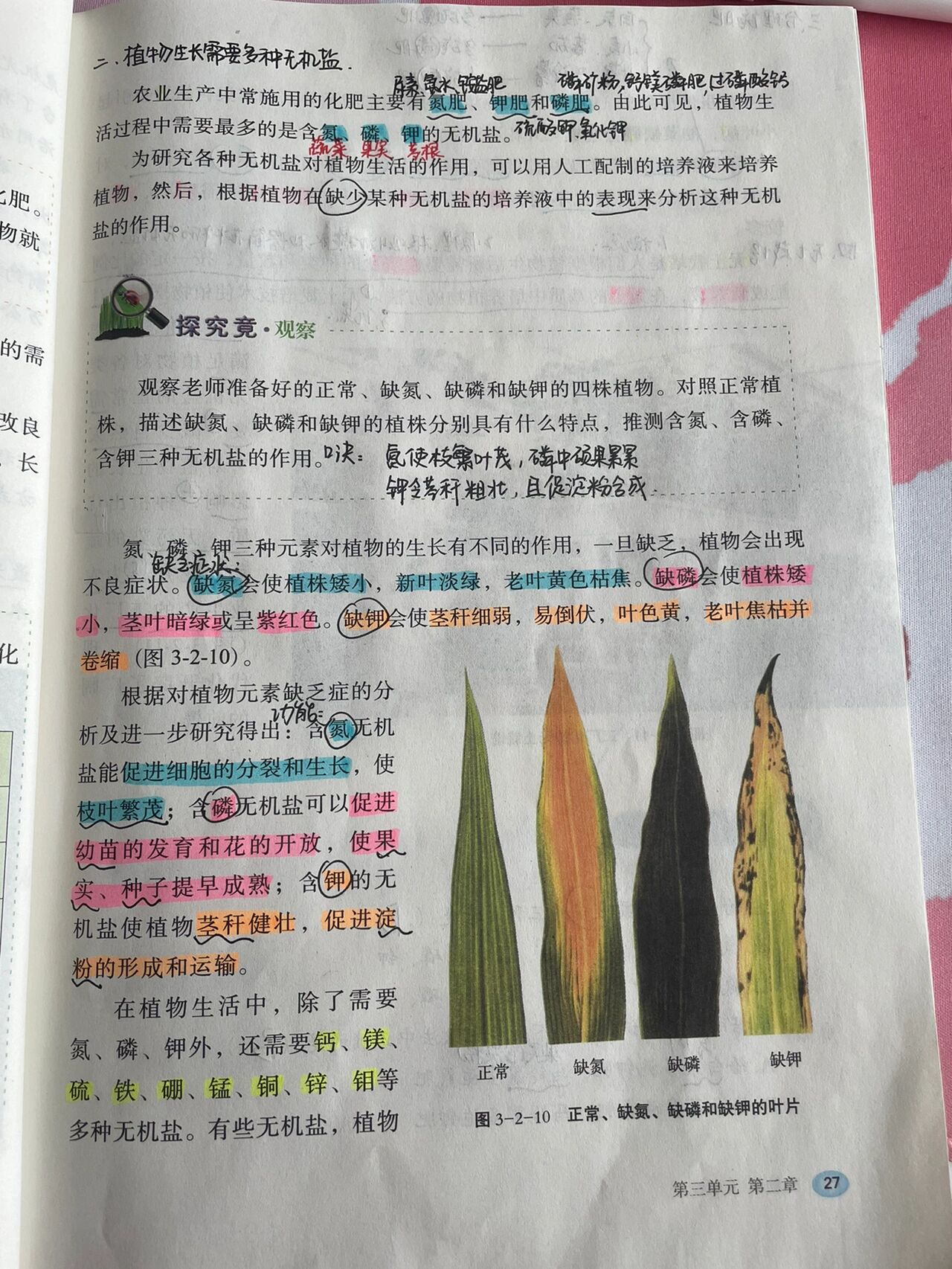 我成了生物课的教具篇小说我成了生物课的教具