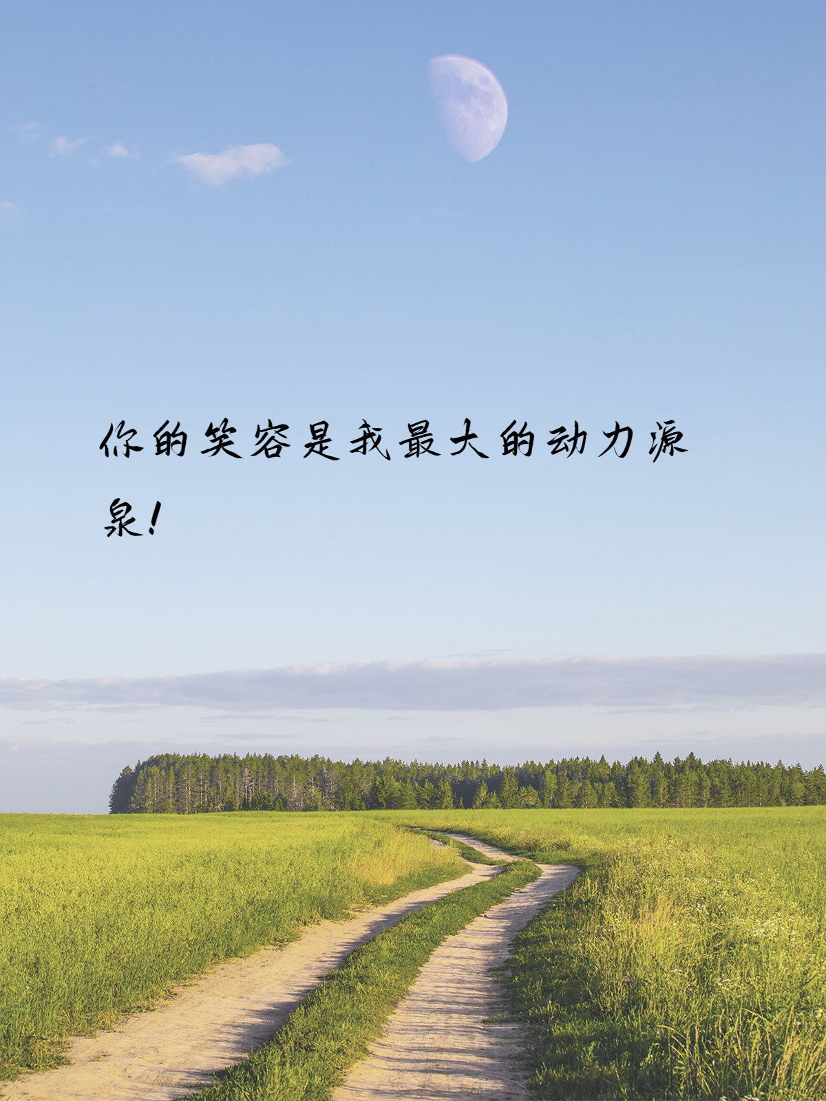 正能量网站——免费获取正能量的源泉